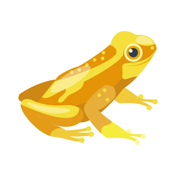 Frog cartoon tropical yellow animal cartoon nature icon funny and isolated mascot character wild funny forest toad amphibian vector illustration. — Stock Vector