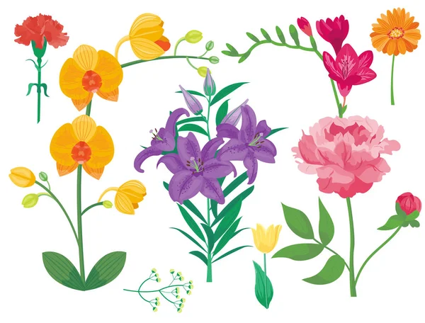 Мультяшна пелюстка вінтажний квітковий векторний букет садовий ботанічний натуральні півонії ілюстрація та літня квіткова вітальна листівка весняний цвіт . — стоковий вектор