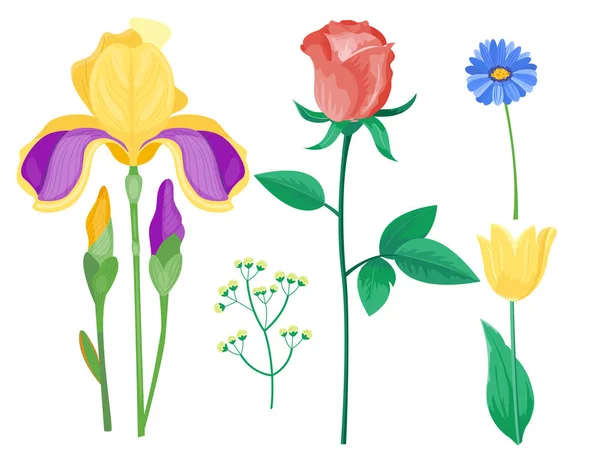 Pétalo de dibujos animados vintage floral vector ramo jardín flor botánica natural peonías ilustración y verano floral tarjeta de felicitación primavera flor . — Vector de stock