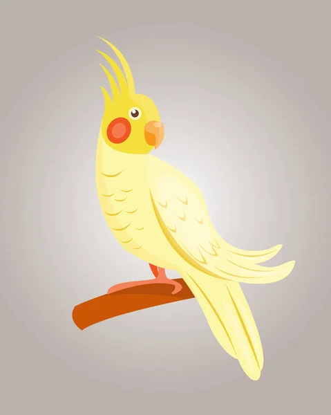 Cartoon tropical yellow parrot wild animal bird vector illustration wildlife feather zoo color nature vivid. — Stock Vector