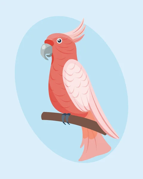 Kreskówka tropikalna papuga dzikie zwierzęta ptak wektor ilustracja dzikość pióro zoo kolor natura żywy. — Wektor stockowy