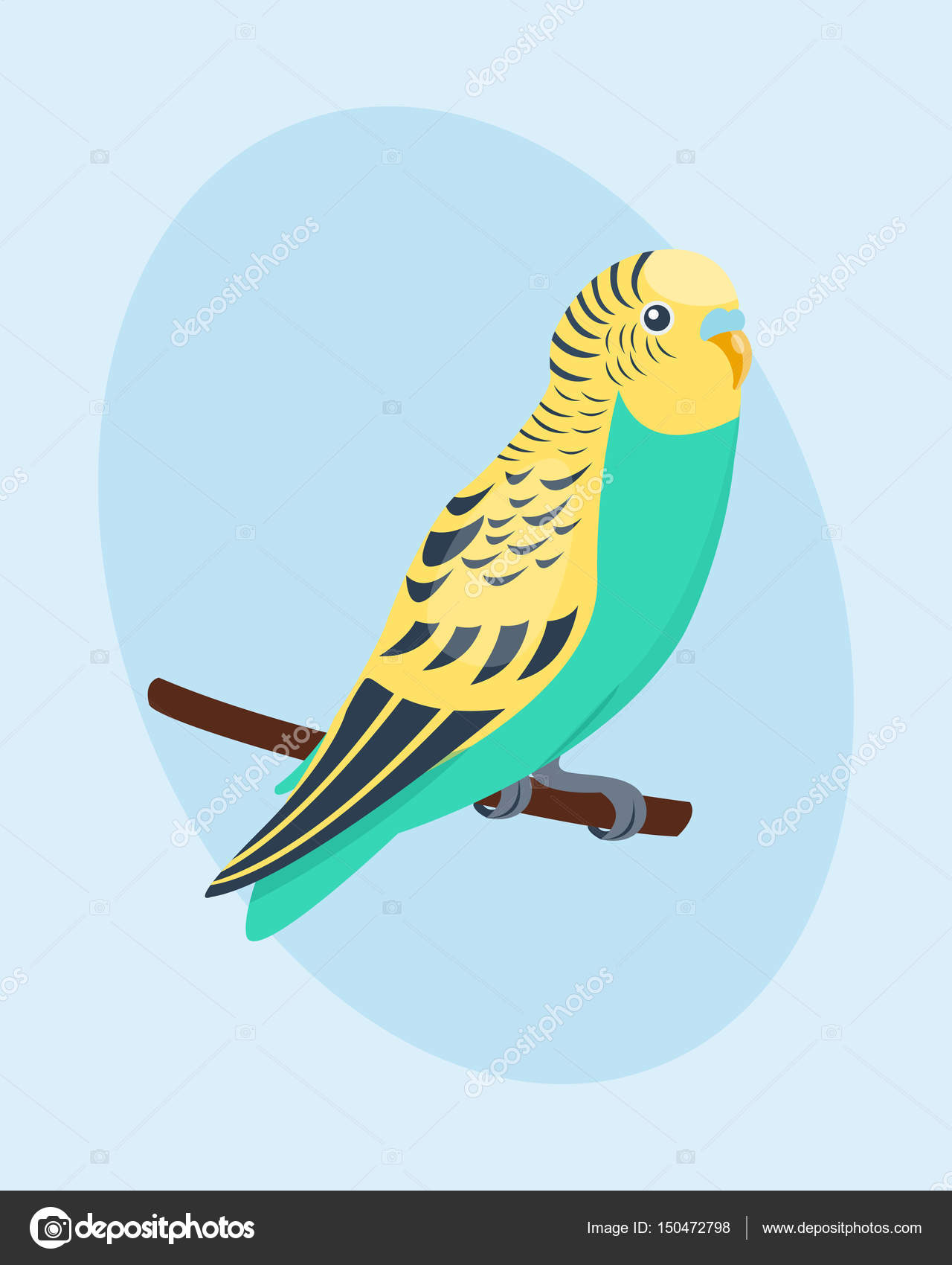 Dessin Animé Tropical Perroquet Oiseaux Animaux Sauvages