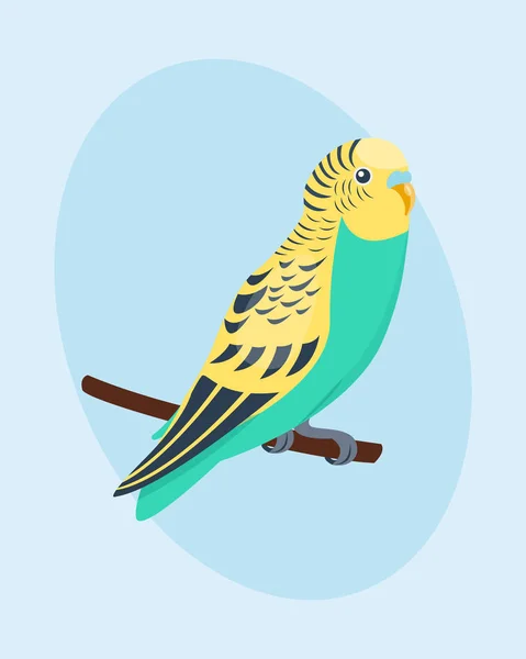 Caricature perroquet tropical animal sauvage oiseau vecteur illustration faune plume zoo couleur nature vif . — Image vectorielle