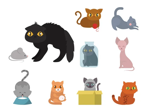 Schattige katten karakter verschillende pose grappige dieren binnenlandse kitten vectorillustratie. — Stockvector