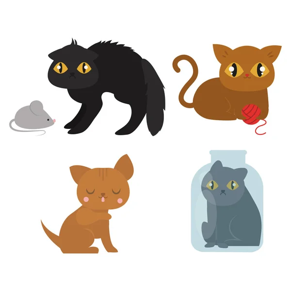 Симпатичные кошки персонаж разные позы смешное животное домашний котенок векторной иллюстрации . — стоковый вектор