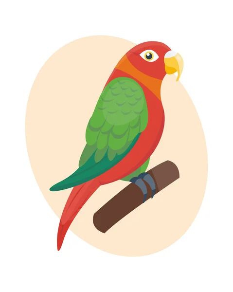 Caricature perroquet tropical animal sauvage oiseau vecteur illustration faune plume zoo couleur nature vif . — Image vectorielle