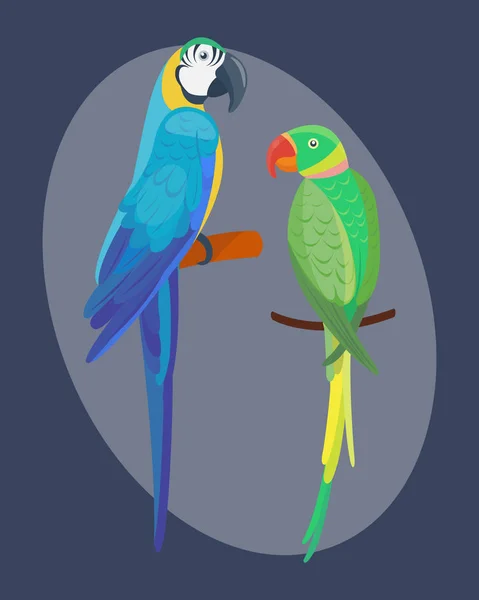 Caricature perroquet tropical animal sauvage oiseau vecteur illustration faune plume zoo couleur nature vif . — Image vectorielle
