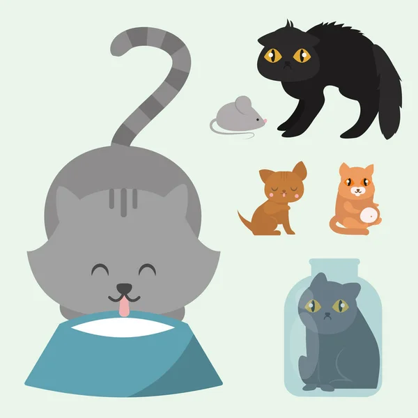 Aranyos macskák karakter különböző jelentenek vicces állat hazai cica vektoros illusztráció. — Stock Vector