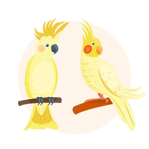 Dibujos animados loro amarillo tropical animal salvaje vector ilustración fauna pluma zoológico color naturaleza vívida . — Vector de stock