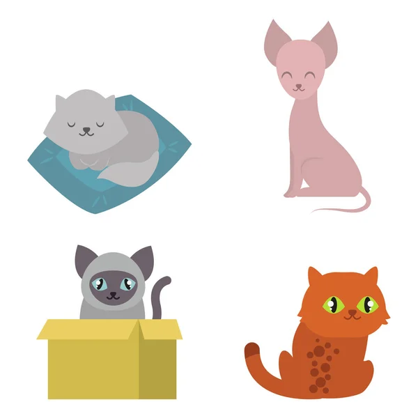 Gatos bonitos personagem diferente pose engraçado animal doméstico gatinho vetor ilustração . — Vetor de Stock