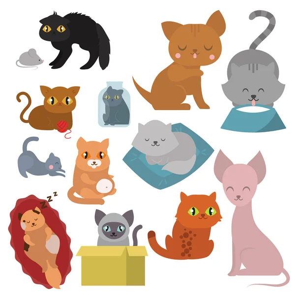 Roztomilé kočky znaků odlišné pozice legrační zvířecí domácí kotě vektorové ilustrace. — Stockový vektor