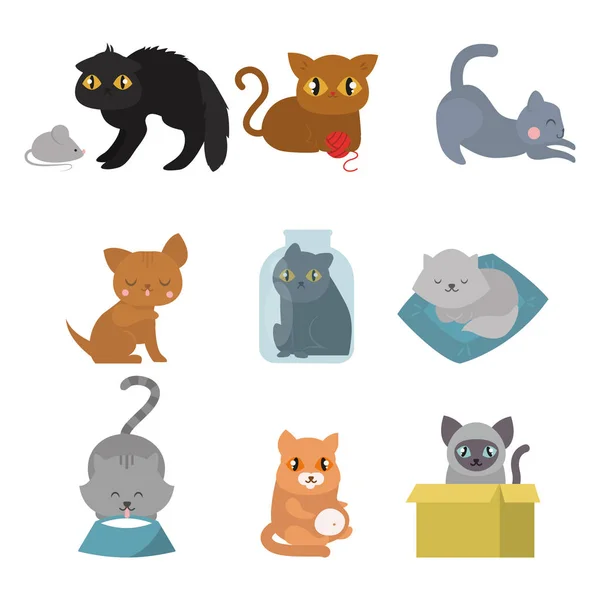 Lindo gatos carácter diferente pose divertido animal doméstico gatito vector ilustración . — Vector de stock