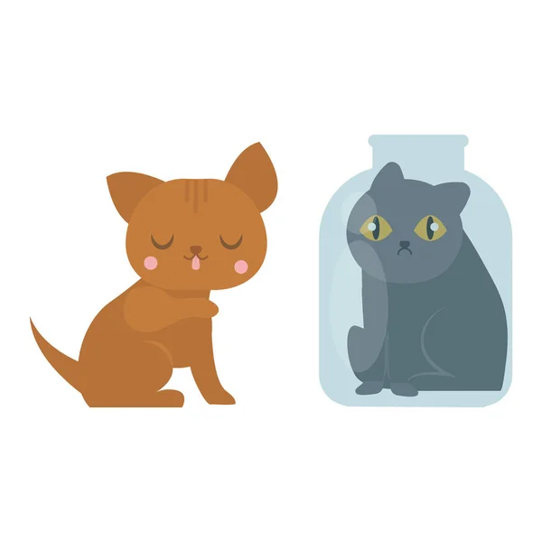 Aranyos macskák karakter különböző jelentenek vicces állat hazai cica vektoros illusztráció. — Stock Vector