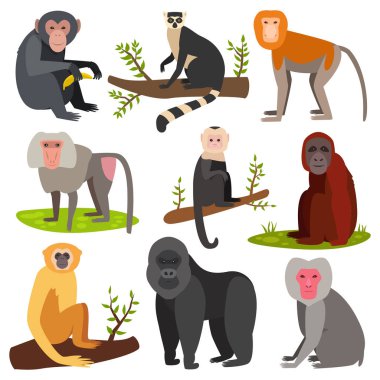 Farklı karikatür maymun doğurmak karakter vahşi hayvan Hayvanat Bahçesi maymun şempanze vektör çizim.
