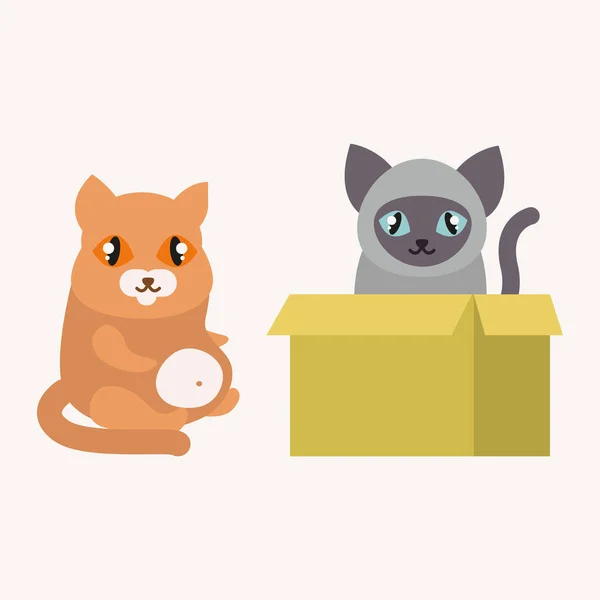 Carino gatti personaggio diverso posa divertente animale domestico gattino vettore illustrazione . — Vettoriale Stock
