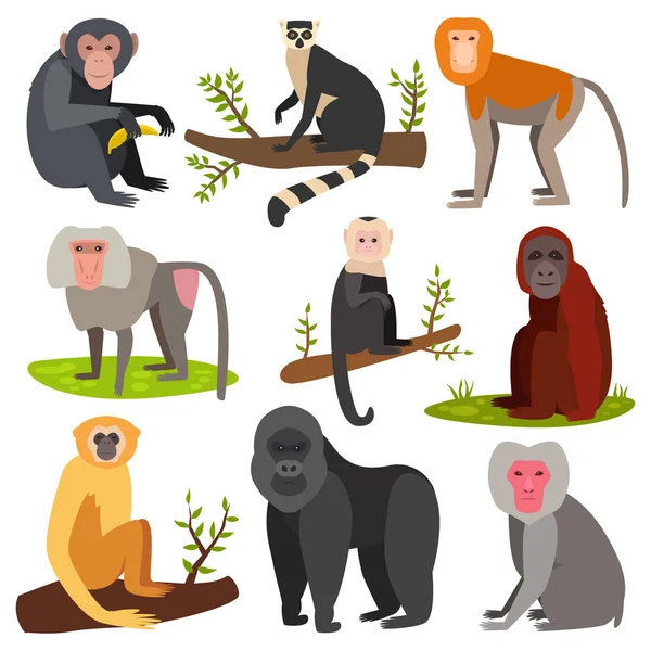 Diferentes dibujos animados mono raza carácter animal salvaje zoológico mono chimpancé vector ilustración . — Vector de stock