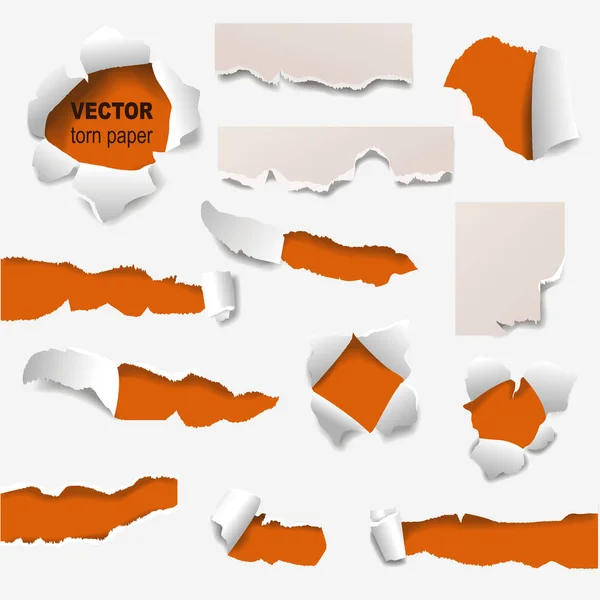 Collectie van gescheurde randen van een gat papier vectorillustratie. — Stockvector