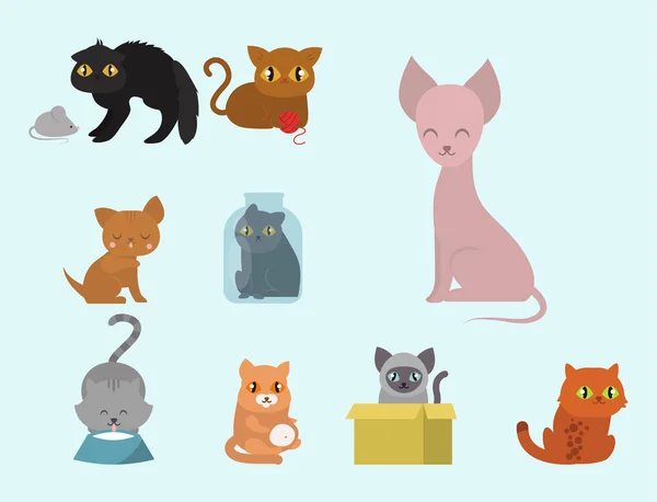 Gatos bonitos personagem diferente pose engraçado animal doméstico gatinho vetor ilustração . — Vetor de Stock