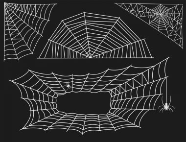 Örümcek web siluet Araknid korku grafik düz korkunç hayvan tasarım doğa böcek tehlike korku vektör simgesi.