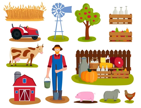 Boerderij vector illustratie natuur voedsel oogst graan landbouw groei gecultiveerd ontwerp. — Stockvector