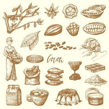 Vektör kakao ürünleri handdrawn kroki doodle yiyecek çikolata kakao üretim tatlı çizim.