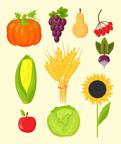 Vector cosecha iconos planos equipo de cosecha para la agricultura y la horticultura, frutas naturales saludables y herramientas de mano — Vector de stock