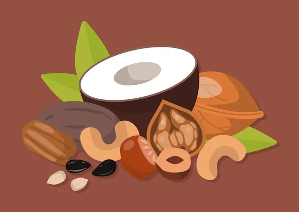 Montones de diferentes nueces pistacho cacahuete nuez sabrosa semilla vegetariana nutrición vector ilustración — Archivo Imágenes Vectoriales