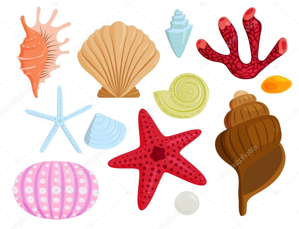 Sea shells marine cartoon clam-shell and ocean starfish coralline vector illustration