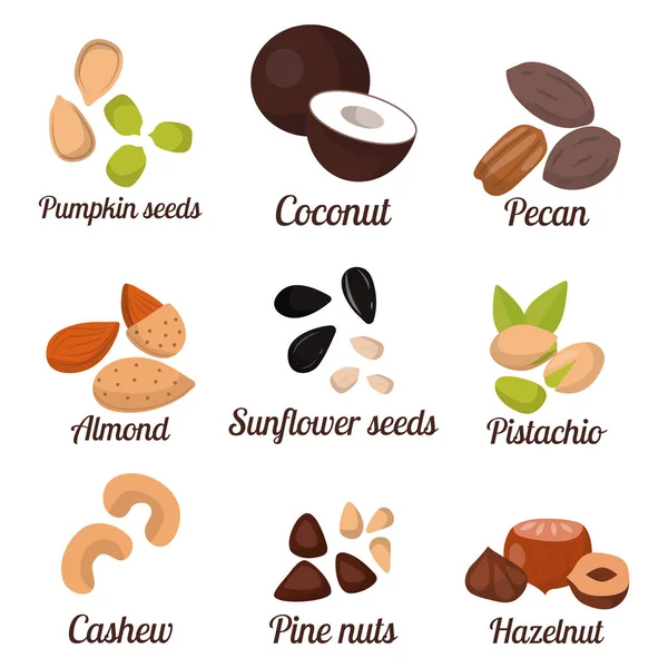 Piles of different nuts pistachio peanut walnut tasty seed vegetarian nutrition vector illustration — Stock Vector