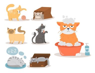 Portre kedi hayvan evde beslenen hayvan sevimli kedi yavrusu safkan kedi kitty iç kürk çok güzel memeli karakter vektör çizim.