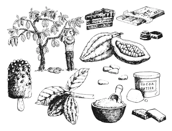 ベクトル ココア製品手描きのスケッチ落書き食品チョコレート甘いイラスト. — ストックベクタ