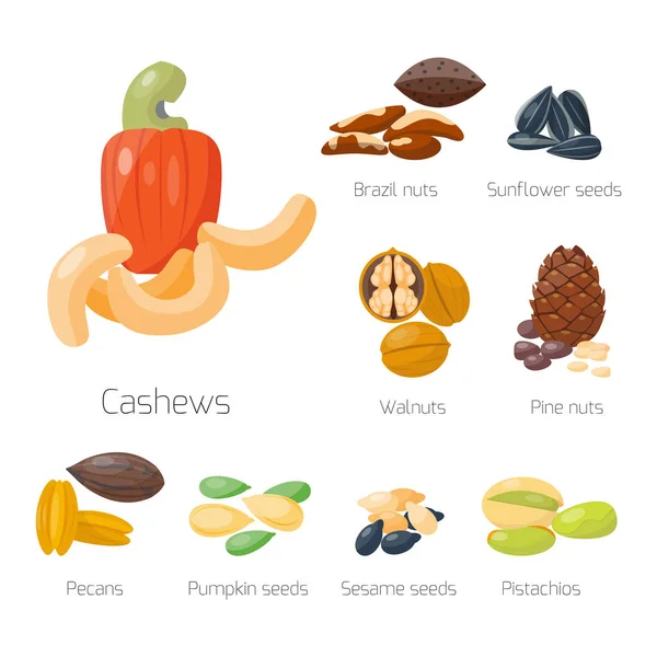 Pilas de diferentes nueces pistacho avellana almendra cacahuete nuez anacardo castaño sabrosa semilla vector ilustración — Vector de stock