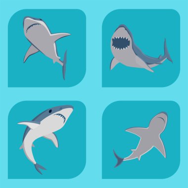 Vektör çizimi, dişlek, yüzen, kızgın, köpek balığı, deniz balığı karakteri, su altında sevimli, vahşi yaşam maskotu..