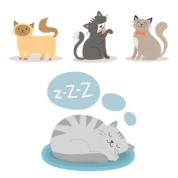 肖像猫动物睡眠宠物可爱小猫纯种猫猫咪国内毛皮可爱的哺乳动物特征矢量图. — 图库矢量图片