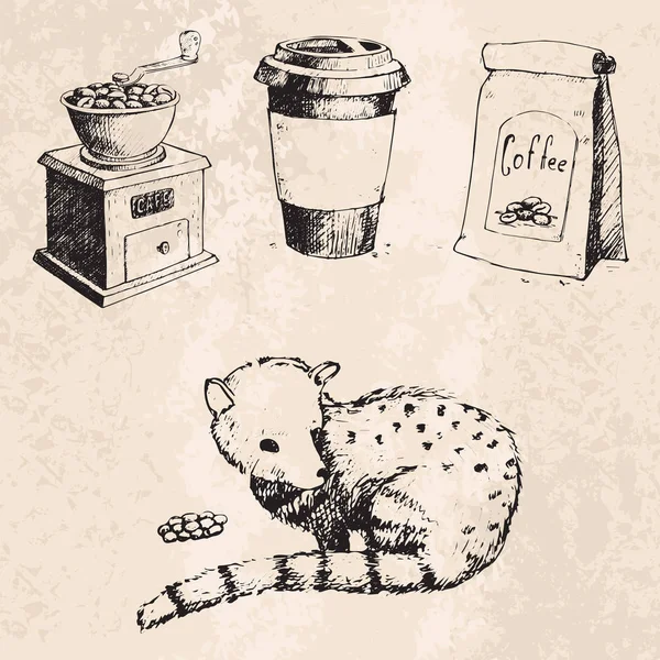 Виробництво кави рука намальовані боби старовинний малюнок напій колекція ретро кафе ескіз десерт Векторні ілюстрації . — стоковий вектор