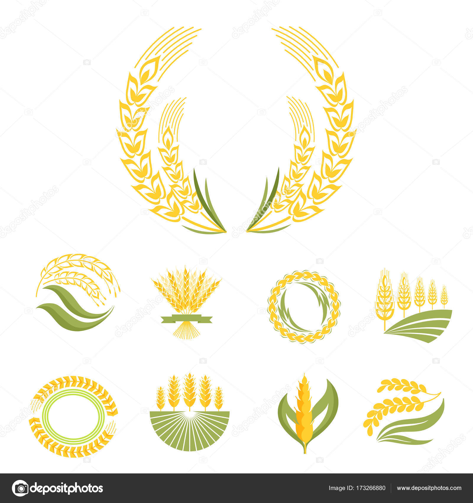 Cereal Ears And Grains Agriculture Industry Or Logo Badge Design