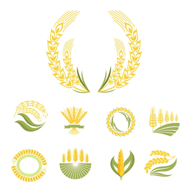 Mısır gevreği kulakları ve tahıl tarım sanayi veya logo rozet tasarım vektör yiyecek illüstrasyon organik doğal sembolü — Stok Vektör