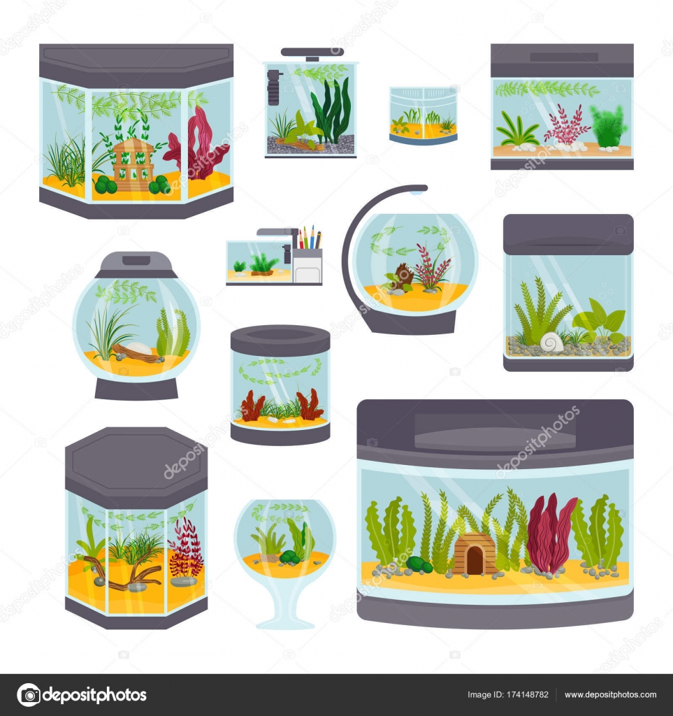 Free Vector  Aquarium fish set. underwater diving fishes isolated on white  background. color sea animal illustration