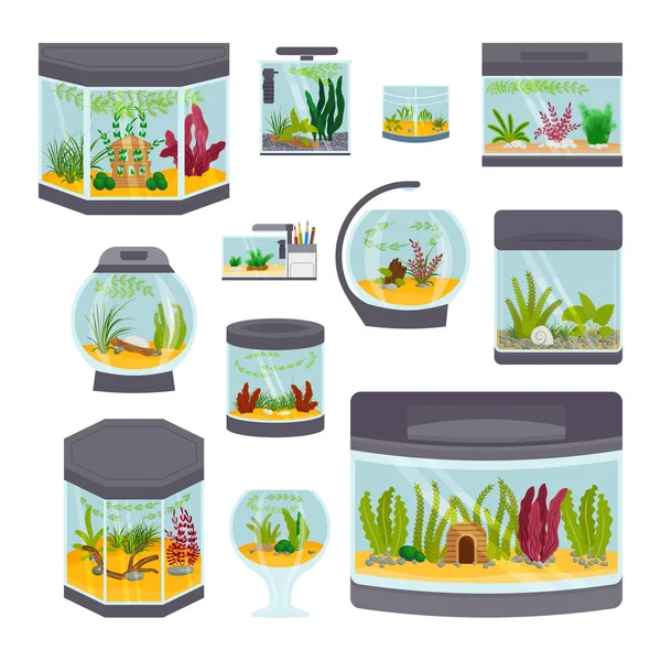 Öppet akvarium interiör vektorillustration isolerade på vita livsmiljö hus undervattensfoto fisk tank skål. — Stock vektor