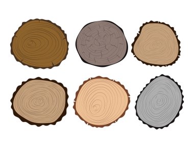 Hammadde kesmek ahşap dilim doku ağaç daire detay bitki yıl geçmiş dokulu kaba orman vektör çizim ayarla..