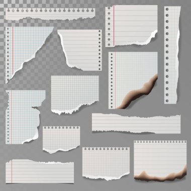 Yırtık beyaz çizgili defter kağıt kare çizgi parçalarını beyaz paçavra ve sayfa vektör çizim yandı.