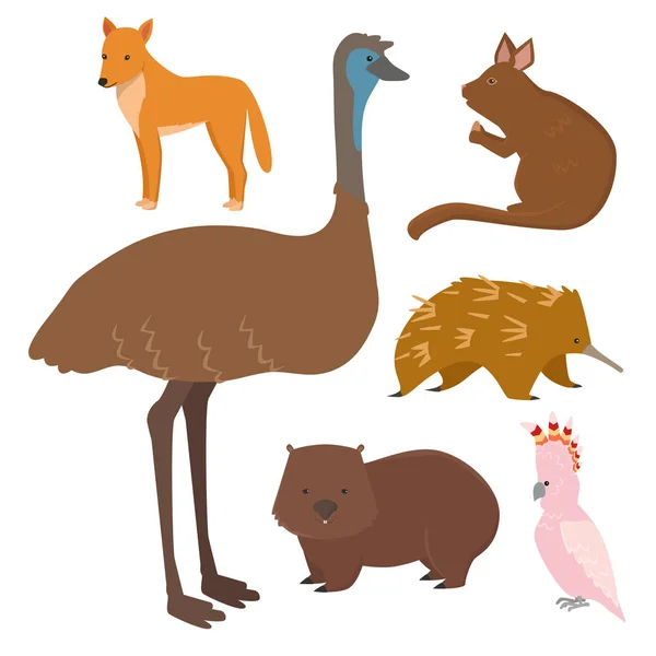 Australia wild animals cartoon popular nature characters flat style mammal collection vector illustration. — Stock Vector