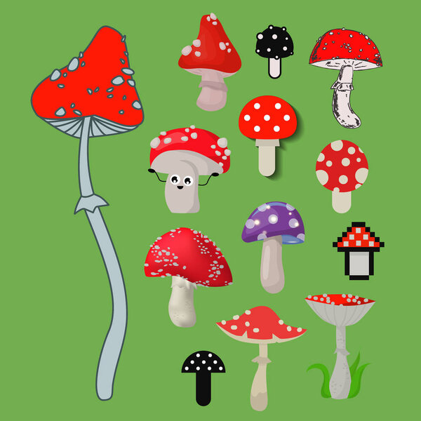 Style of amanita mushrooms dangerous set vector poisonous season toxic fungus food illustration.