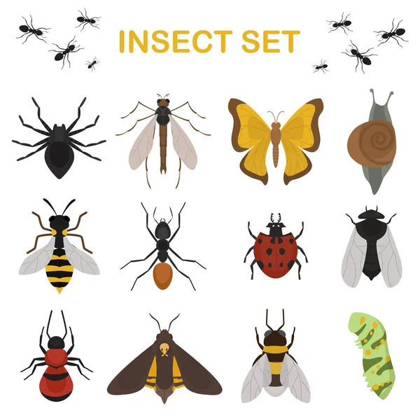 Энтомология мух-насекомых жуки-насекомые — стоковый вектор
