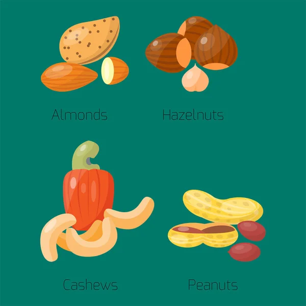 Pilhas de diferentes porcas avelã amendoim amendoim noz saboroso caju semente vetor ilustração — Vetor de Stock