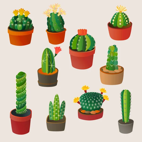 Lindo cactus de dibujos animados casa planta naturaleza vector ilustración mexicano verano — Archivo Imágenes Vectoriales