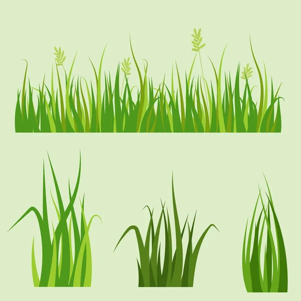 Green grass border plant lawn nature meadow ecology summer gardening vector illustration — Stock Vector