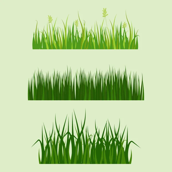 Green grass border plant lawn nature meadow ecology summer gardening vector illustration — Stock Vector
