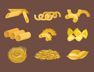 Farklı türde makarna tam buğday Mısır Pirinç Noodle organik gıda makarna ürünleri illüstrasyon vektör beslenme yemek sarı