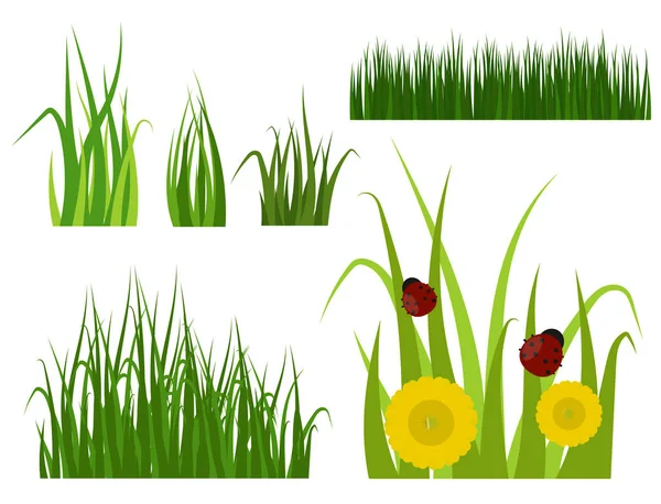 Zielona trawa granicy rośliny trawnik natura łąka ekologia lato ogrodnictwo ilustracja wektorowa — Wektor stockowy